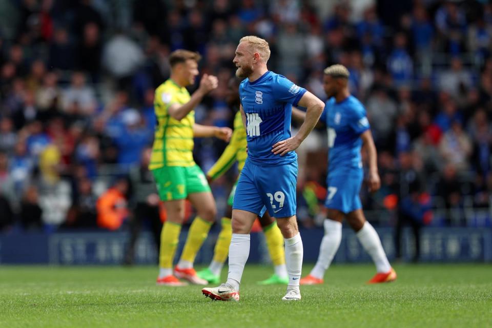 Heartbreak: Birmingham could not achieve safety despite beating Norwich on the final day (Getty Images)