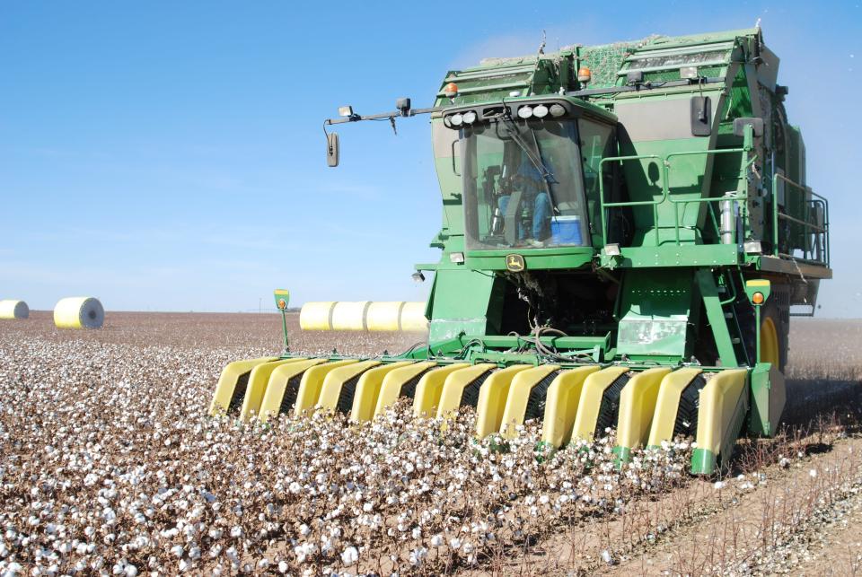 Cotton is harvested from a field on the South Plains
