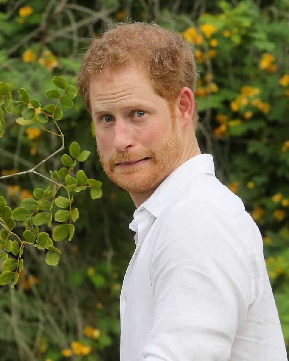 Prince Harry isn't so sure.