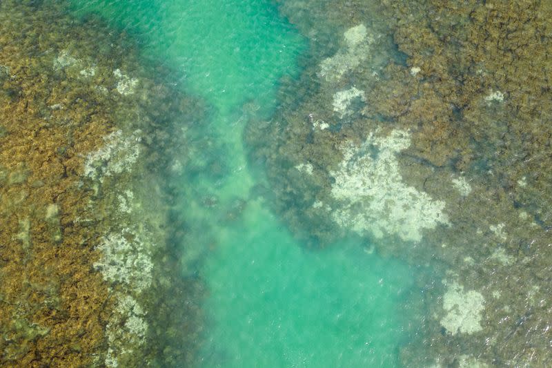 A drone view shows bleached corals on the reef at the Costa dos Corais, in Japaratinga