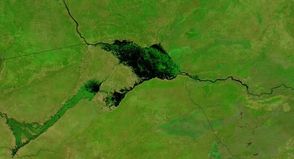 The spring flooding of the Zambezi River in Namibia, captured by a NASA satellite on May 13, 2014.