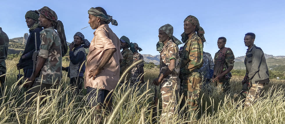 Depuis le 4 novembre, le gouvernement éthiopien mène des opérations militaires contre le Front de libération du peuple du Tigré (TPLF), parti au pouvoir dans la région la plus septentrionale d'Éthiopie. 
