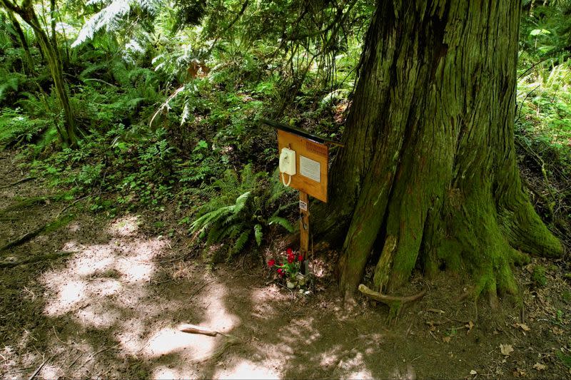 Grieving relatives talk to lost loved ones on phone in the forest