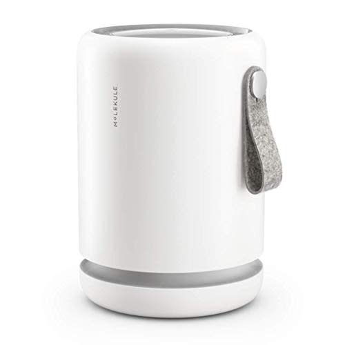 Molekule Air Purifier (Amazon / Amazon)