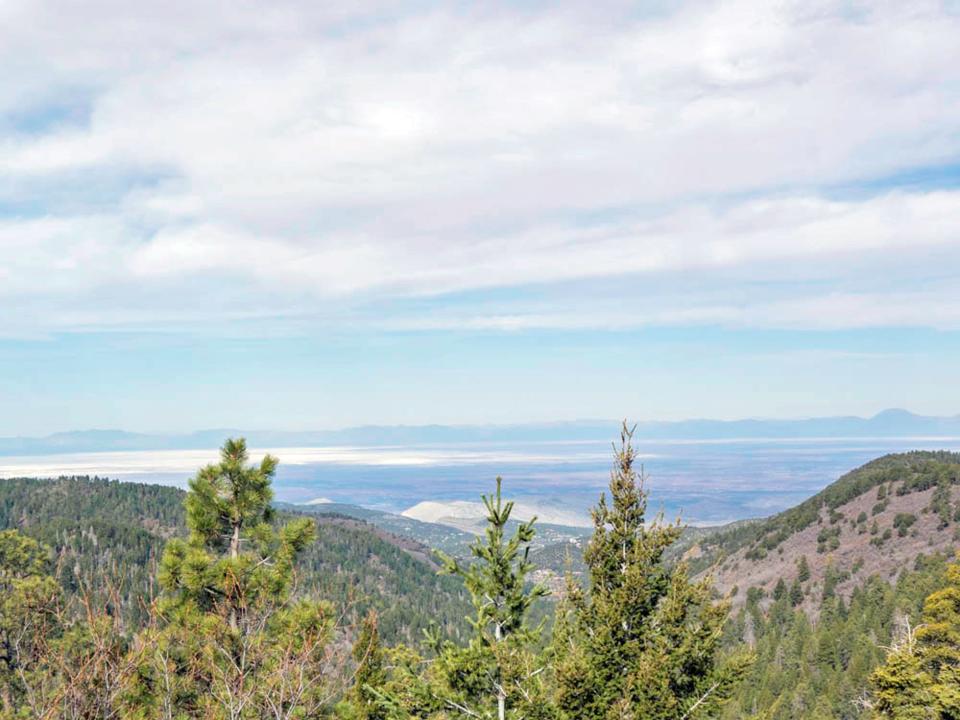 lincoln national forest