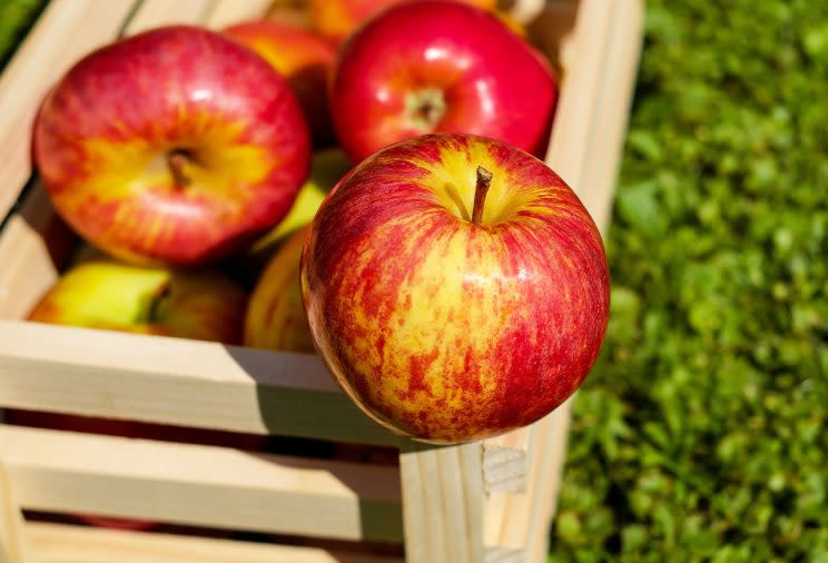 Could apples hold the secret to losing weight? [Photo: Pixabay via Pexels]