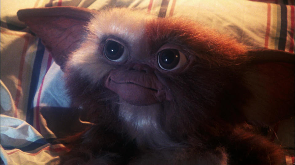 Gizmo in Gremlins (Credit: Warner Bros)