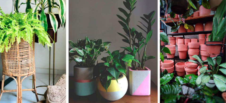 Planters made from natural materials or ones with organic finishes are all the rage. Images: Courtesy Plant People