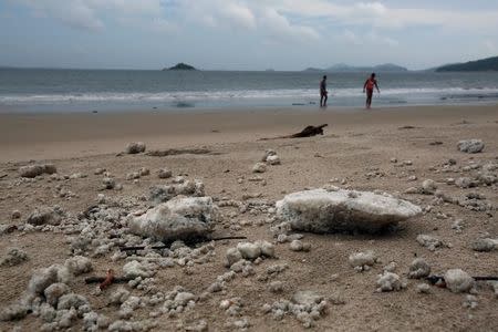 Crystallised palm oil is seen along Cheung Sha beach at Lantau Island in Hong Kong, China August 9, 2017. REUTERS/Bobby Yip