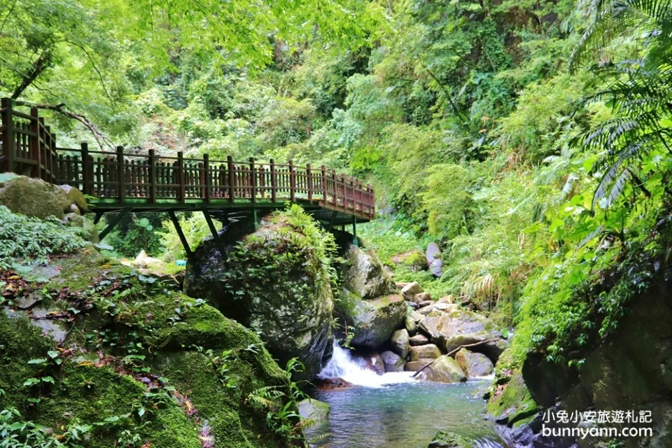 新竹尖石｜老鷹溪步道