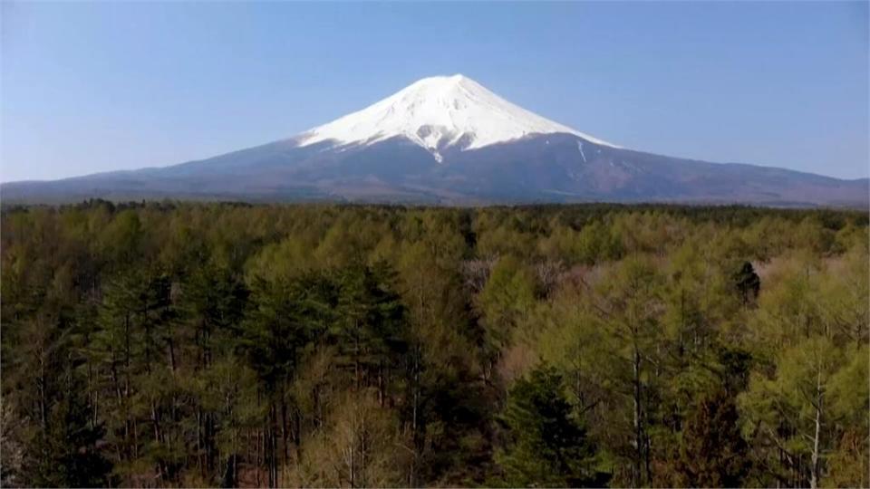 中資飯店嫌看不到富士山！竟直接砍鄰居私有樹木