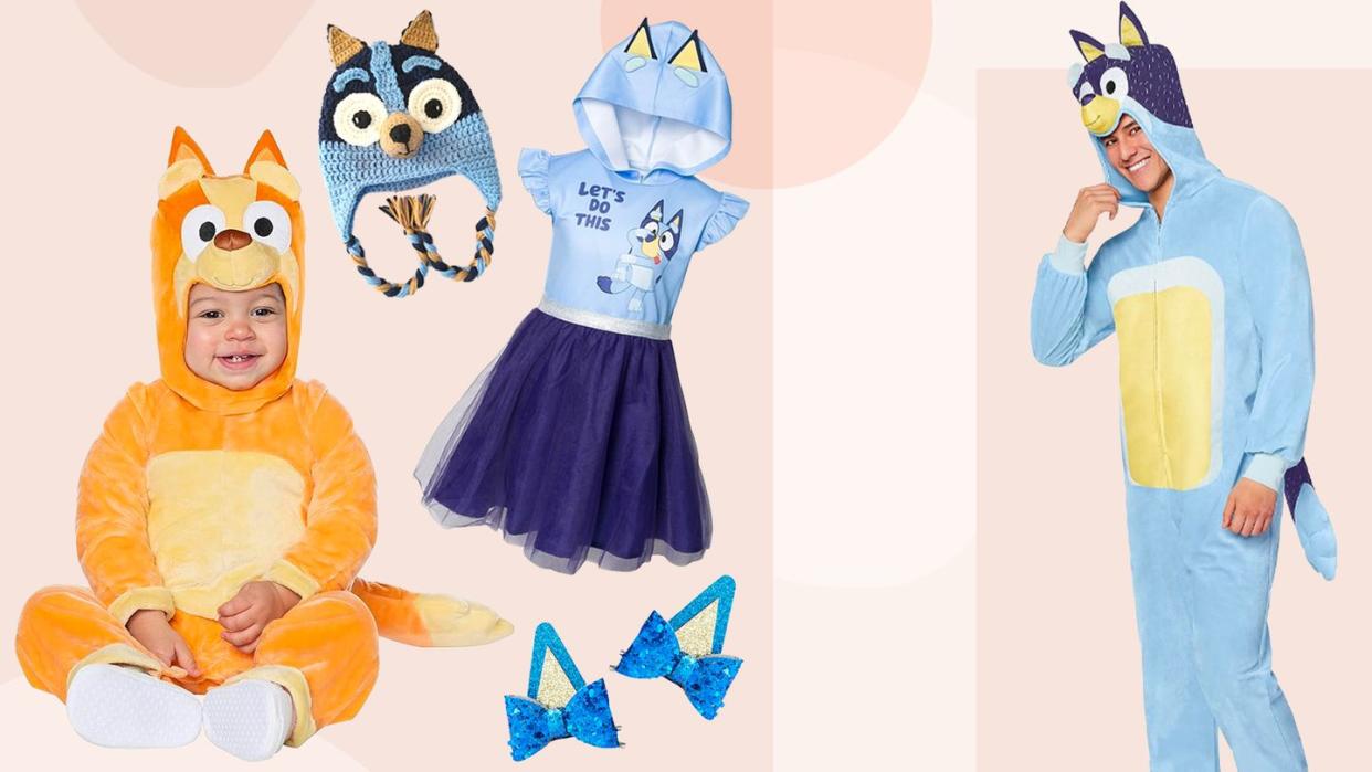 bluey costumes