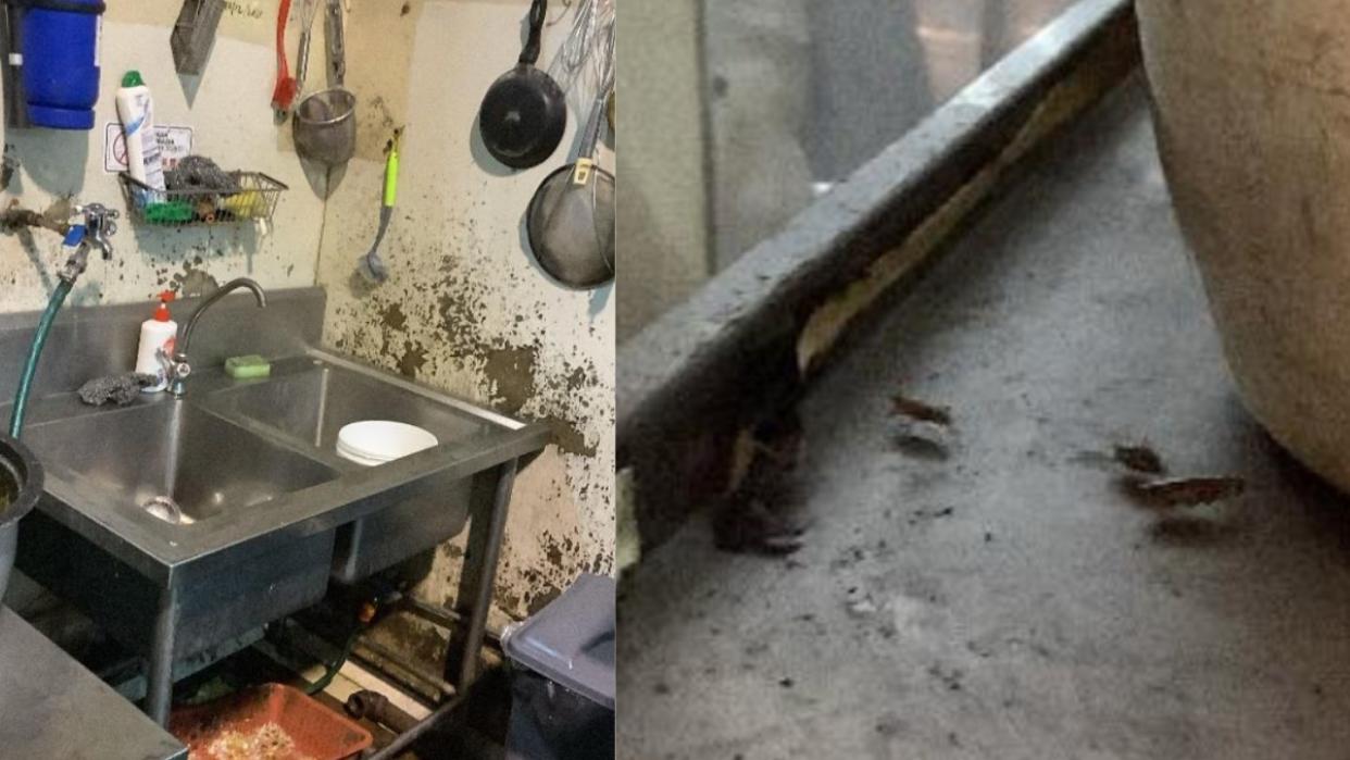 Following a joint investigation by MOH and SFA, multiple food safety lapses were discovered at Angel's Restaurant. These included severe cockroach infestation in food preparation areas, peeling wall paint and cracked, discoloured floor tiles