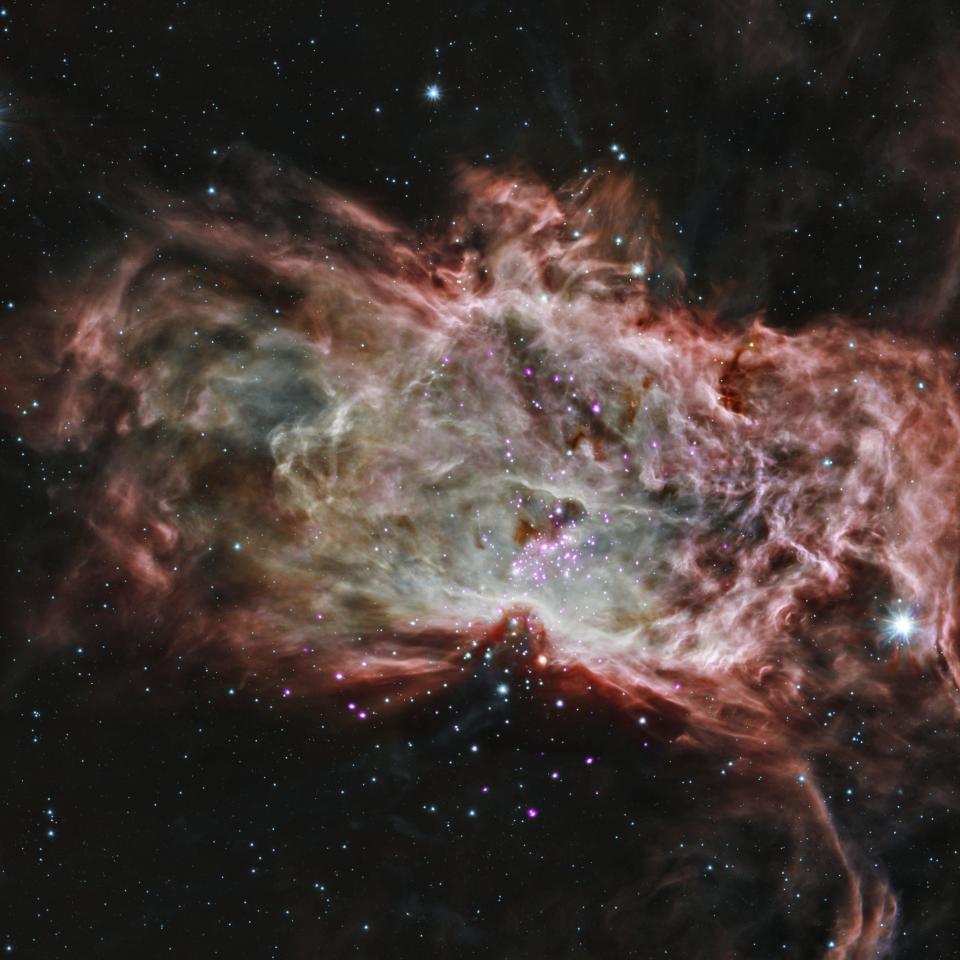 This composite image shows one of the clusters, NGC 2024, which is found in the center of the so-called <a href="http://www.jpl.nasa.gov/spaceimages/details.php?id=PIA18249" target="_blank">Flame Nebula</a> about 1,400 light years from Earth. In this image, X-rays from Chandra are seen as purple, while infrared data from NASA's Spitzer Space Telescope are colored red, green and blue.