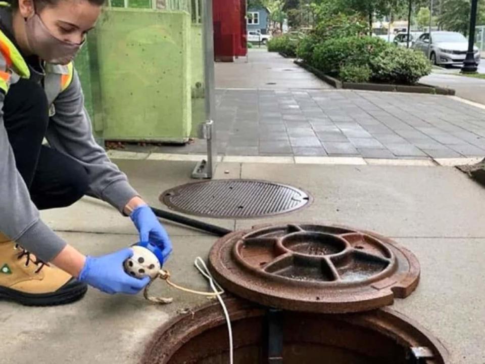 A researcher samples sewage for signs of the coronavirus. Wastewater monitoring, which looks for bits of the SARS-CoV-2 virus shed in feces, has been offering a way to track COVID-19 trends in an area since PCR testing facilities became overwhelmed. (CBC - image credit)