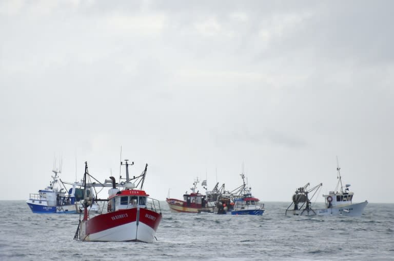 L'accord impose aux pays membres de mettre en œuvre des mesures pour restaurer la nature sur au moins 20% des terres et des espaces marins de l'Union d'ici 2030 (AFP/Archives - LOIC VENANCE)