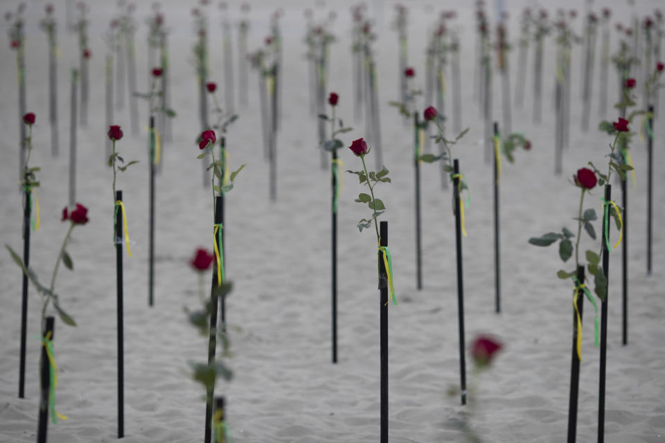 Roses placed in the sand on Copacabana beach honor 500,000 deaths due to coronavirus, during a protest against Brazilian President Jair Bolsonaro and his handling of the COVID-19 pandemic, in Rio de Janeiro, Brazil, Sunday, June 20, 2021. Brazil's COVID-19 death toll surpassed the milestone of 500,000 deaths on Saturday night. (AP Photo/Silvia Izquierdo)