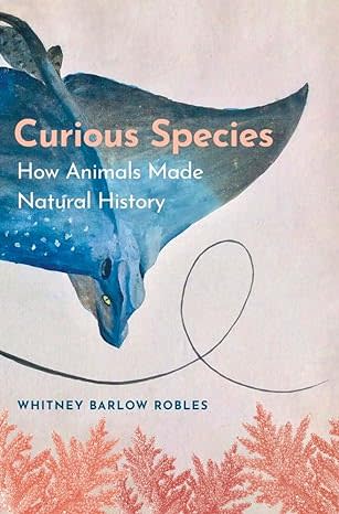 The cover of curious species has a flying dinosaur over a forest. 