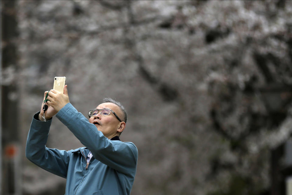 A man stops to photograph cherry blossoms Friday, March 27, 2020, in Tokyo. The new coronavirus causes mild or moderate symptoms for most people, but for some, especially older adults and people with existing health problems, it can cause more severe illness or death. (AP Photo/Kiichiro Sato)