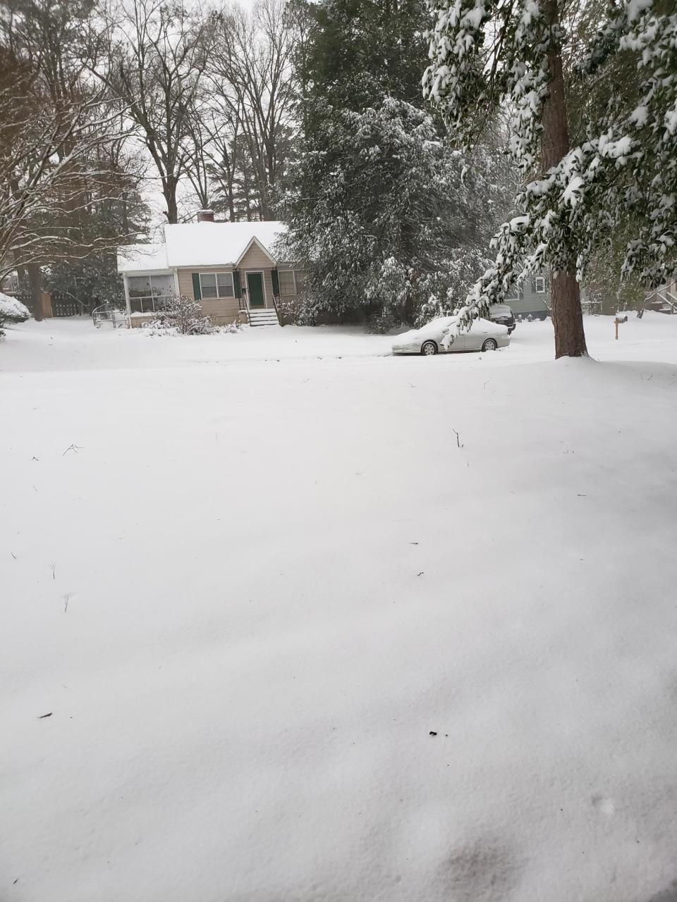 Snow and ice weigh on trees along Briarcliff Road in Spartanburg Sunday morning.