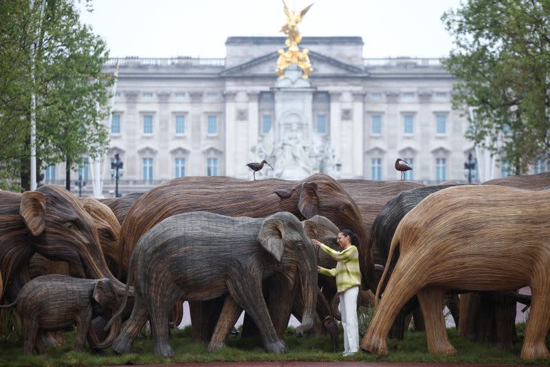 Life-size elephant sculptures are paraded down the Mall in London