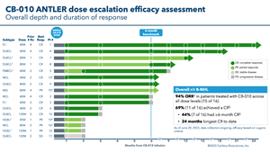 94% overall response rate (ORR). 69% of patients achieved a complete response (CR) as best response following a single dose of CB-010 allogeneic CAR-T cell therapy. 44% of patients had a CR at ≥6 months post-CB-010 administration.