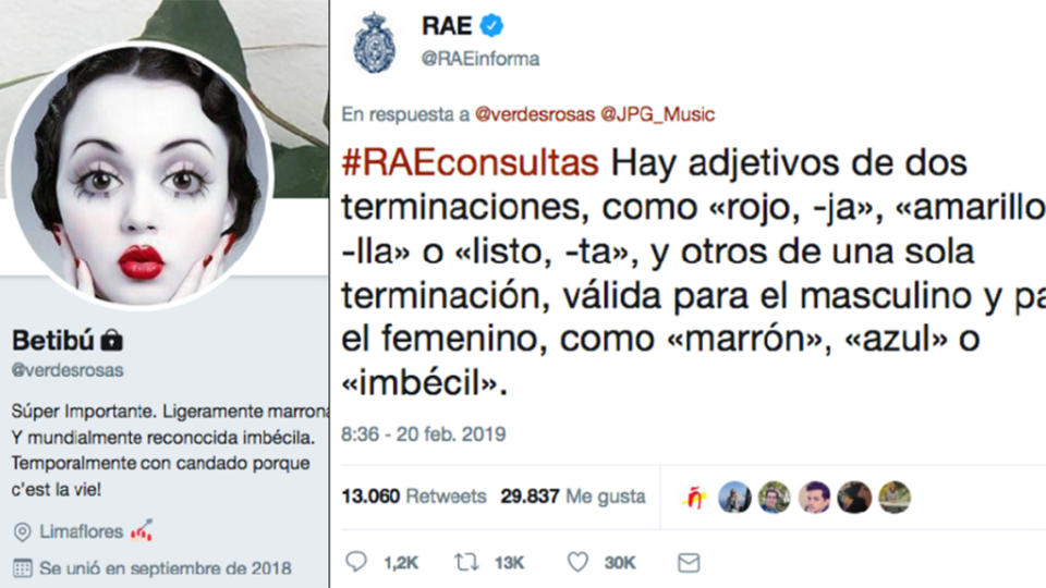 La RAE responde a una duda con un ‘imbécil’ como ejemplo, como burlándose de quien pregunta. Foto. Twitter.com/verdesrosas / Twitter.com/RAEinforma