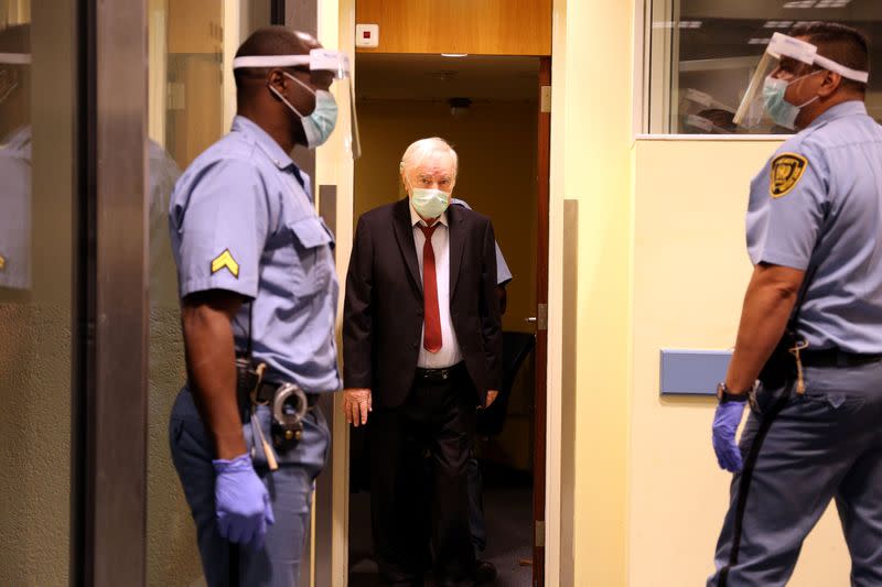 FILE PHOTO: Former Bosnian Serb military leader Ratko Mladic attends his appeal hearing in The Hague