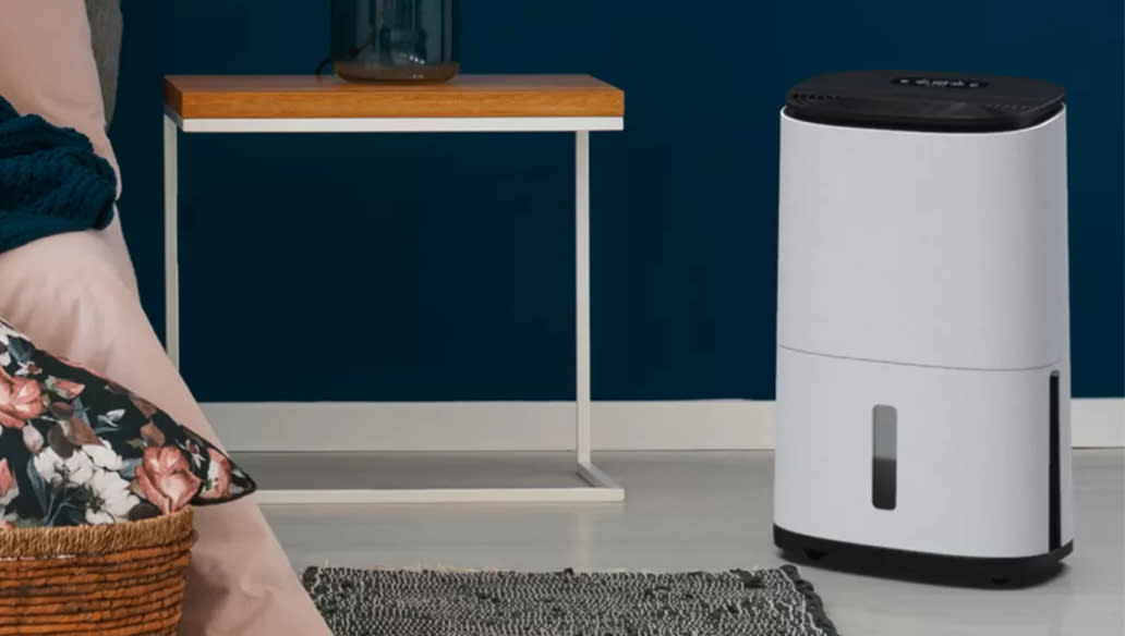 Top-rated dehumidifier to tackle damp and mould