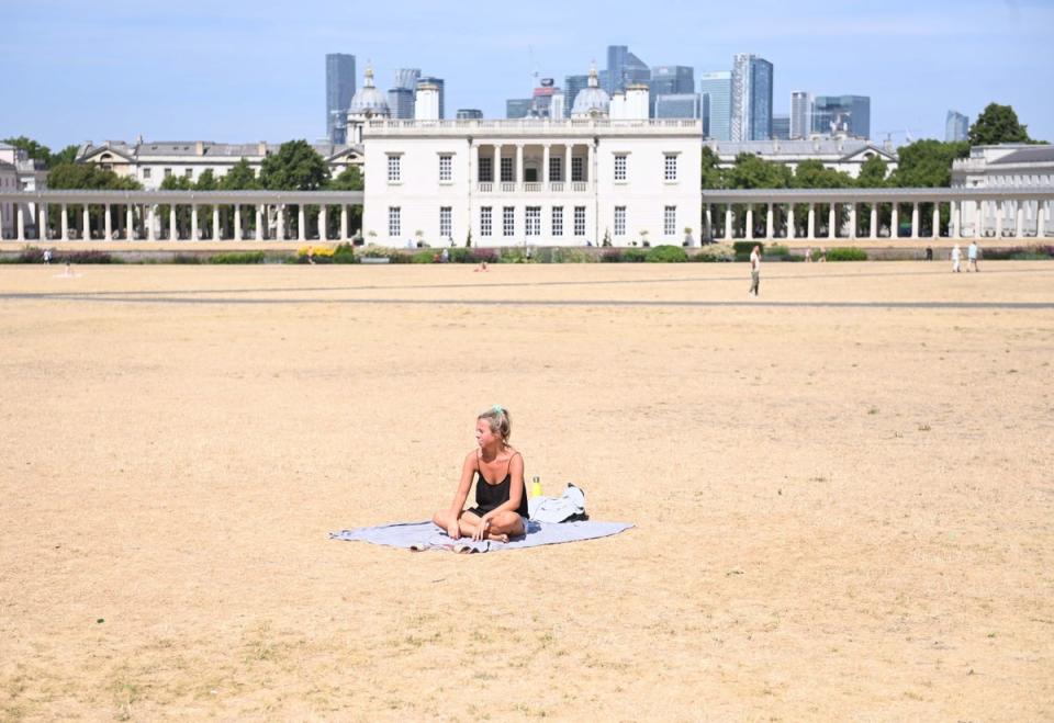 Parched ground on the normally green Greenwich Park in London (EPA)