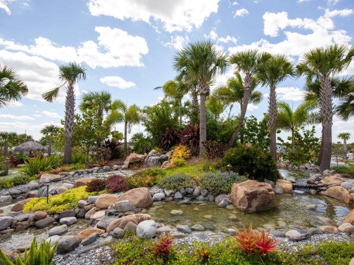 An outdoor garden with a small pond, palm trees.