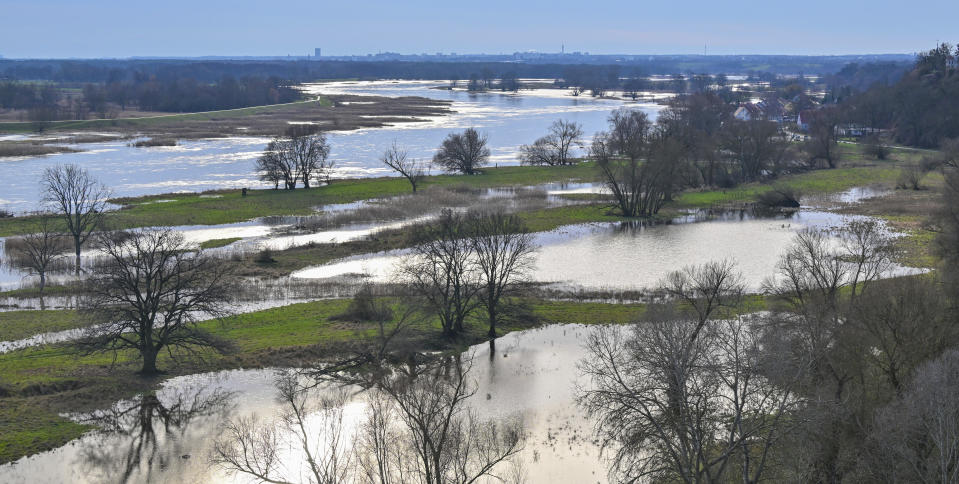 The high water from the German-Polish border river Oder has already partially flooded meadows in front of the dyke in Lebus, Germany, Thursday, Dec 28, 2023. Parts of northern Germany are continuing to grapple with flooding as rivers remain swollen after heavy rain. (Patrick Pleul/dpa via AP)