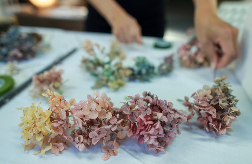 Le graphisme des fleurs d’hortensia