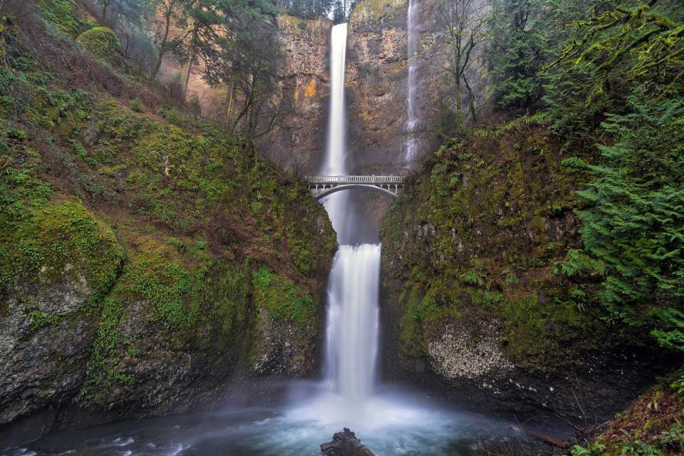 <p><strong>Multnomah Falls</strong></p><p>Spanning two tiers of basalt cliffs, <a href="https://www.fs.usda.gov/recarea/crgnsa/recarea/?recid=30026" rel="nofollow noopener" target="_blank" data-ylk="slk:Multnomah Falls;elm:context_link;itc:0;sec:content-canvas" class="link ">Multnomah Falls</a> located in the Columbia River Gorge, is the tallest waterfall in Oregon at 620 feet tall. Adjacent to the falls is a pathway, viewing bridge and lodge which was constructed in 1925.</p>