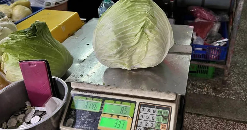 傳統市場有菜販隨意拿出一顆高山高麗菜秤重，竟要價333元。（圖／中時張毓翎攝）
