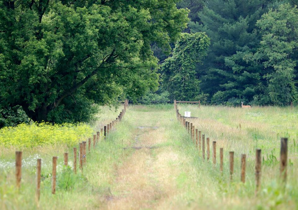 A lane is created by a three-wire perimeter fence, left, and a single-wire interior fence on the Bouressa Family Farm in the Township of Royalton.