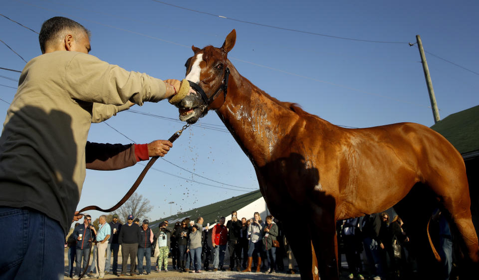 Kentucky Derby hopeful Justify gets a bath after a morning workout at Churchill Downs Tuesday. The 144th running of the Kentucky Derby is scheduled for Saturday, May 5. (AP)