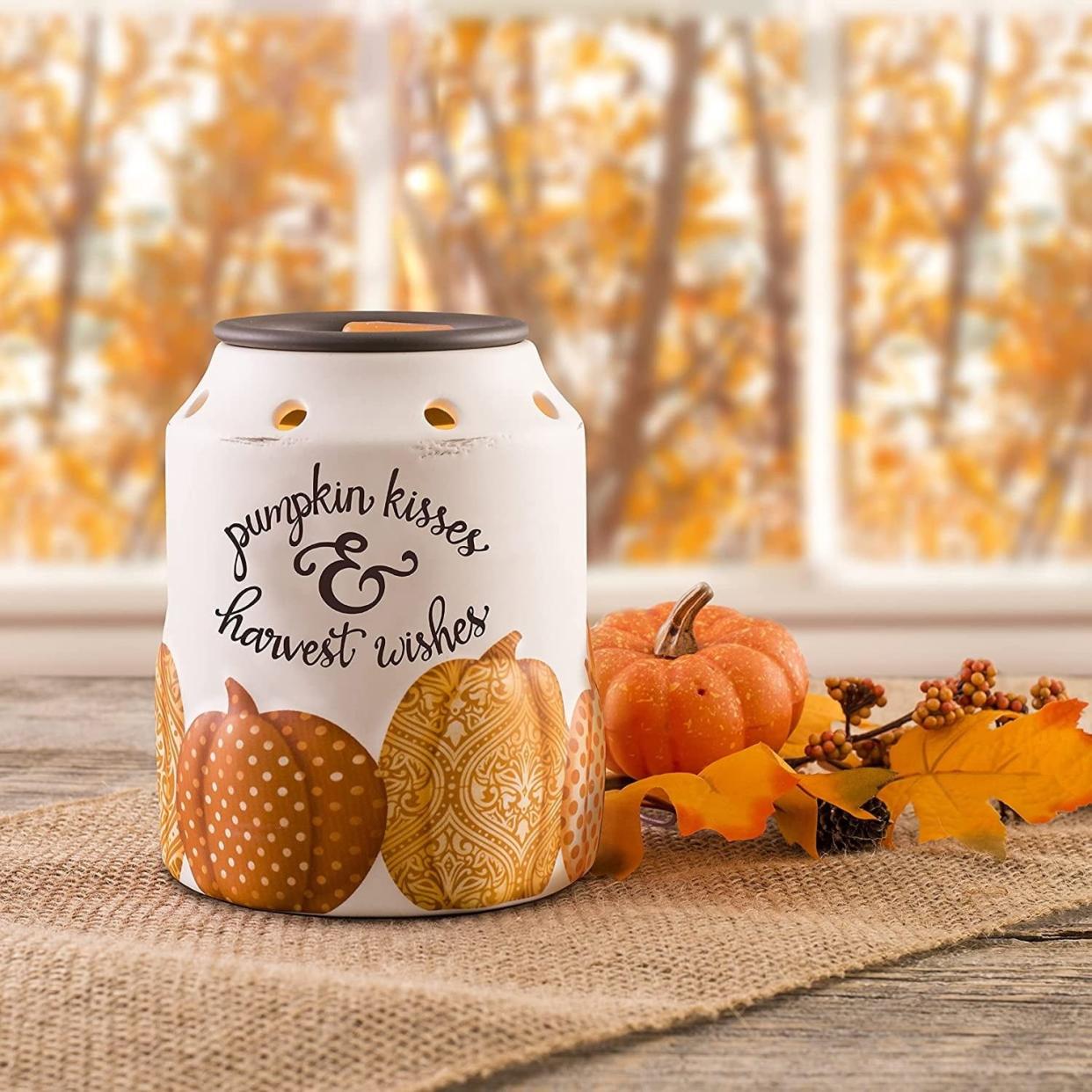 <p><a href="https://go.redirectingat.com?id=74968X1596630&url=https%3A%2F%2Fwww.walmart.com%2Fip%2FScentsationals-Pumpkin-Wishes-Warmer%2F2830267245%3FclassType%3DREGULAR%26from%3D%252Fsearch&sref=https%3A%2F%2Fwww.thepioneerwoman.com%2Fhome-lifestyle%2Fdecorating-ideas%2Fg44734184%2Fwalmart-fall-decorations-2024%2F" rel="nofollow noopener" target="_blank" data-ylk="slk:Shop Now;elm:context_link;itc:0;sec:content-canvas" class="link rapid-noclick-resp">Shop Now</a></p><p>Scentsationals Pumpkin Wishes Warmer</p><p>$25.99</p><span class="copyright">Walmart</span>