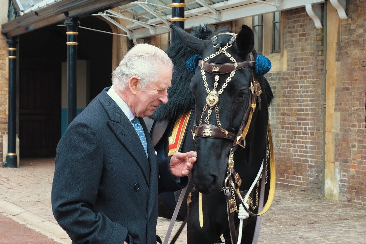 The Royal Mews is a working stables and is home to the royal carriages (PA Media)