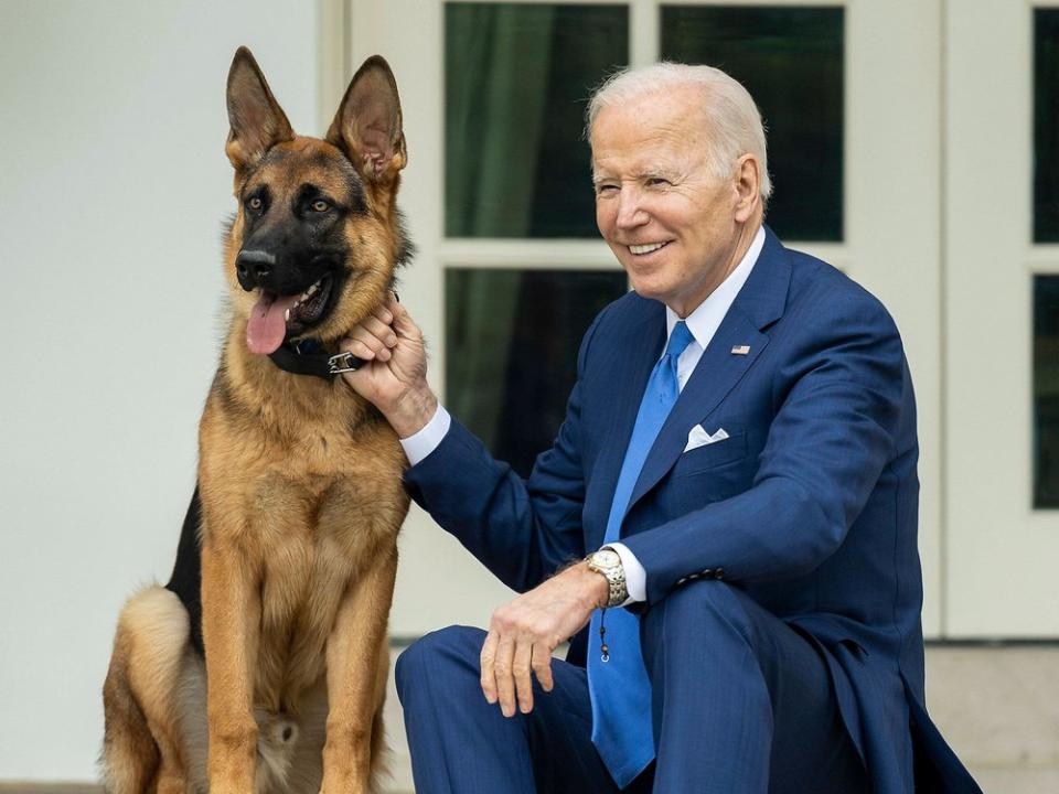 Joe Bidens Schäferhund Commander wurde nun woanders untergebracht. (Bild: imago images/ZUMA Wire)