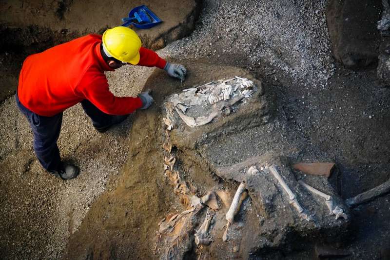 2018年12月23日，考古學家正在調查龐貝古城近郊「神秘別墅」的馬匹遺骸。（AP）