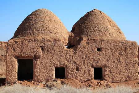 Damaged domed mud houses are pictured in the abandoned village of Rasm al-Nafl, southeast of Aleppo, Syria January 29, 2017. REUTERS/Ali Hashisho