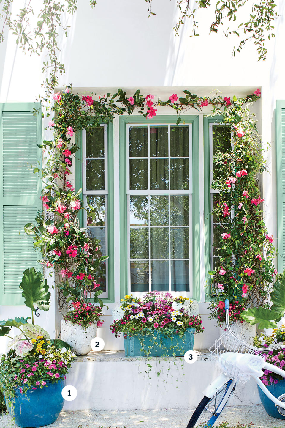 Frame with Blooms