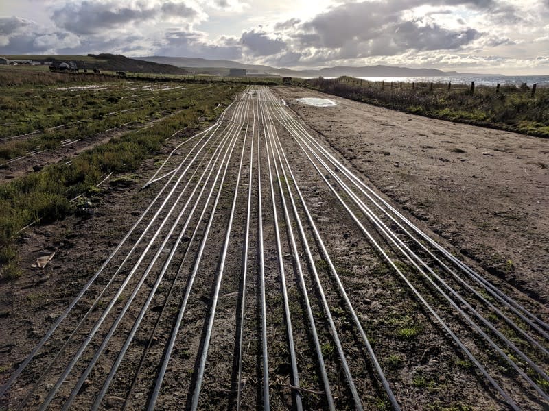 Seawater irrigation pipework runs along the ground on an experimental farm on the west coast of Scotland near Turnberry in Ayreshire