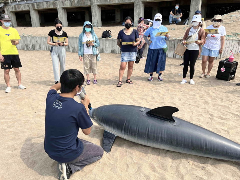 新北市沿岸海洋資源豐富，一定要學習正確的保育觀念。   圖：新北市動保處提供