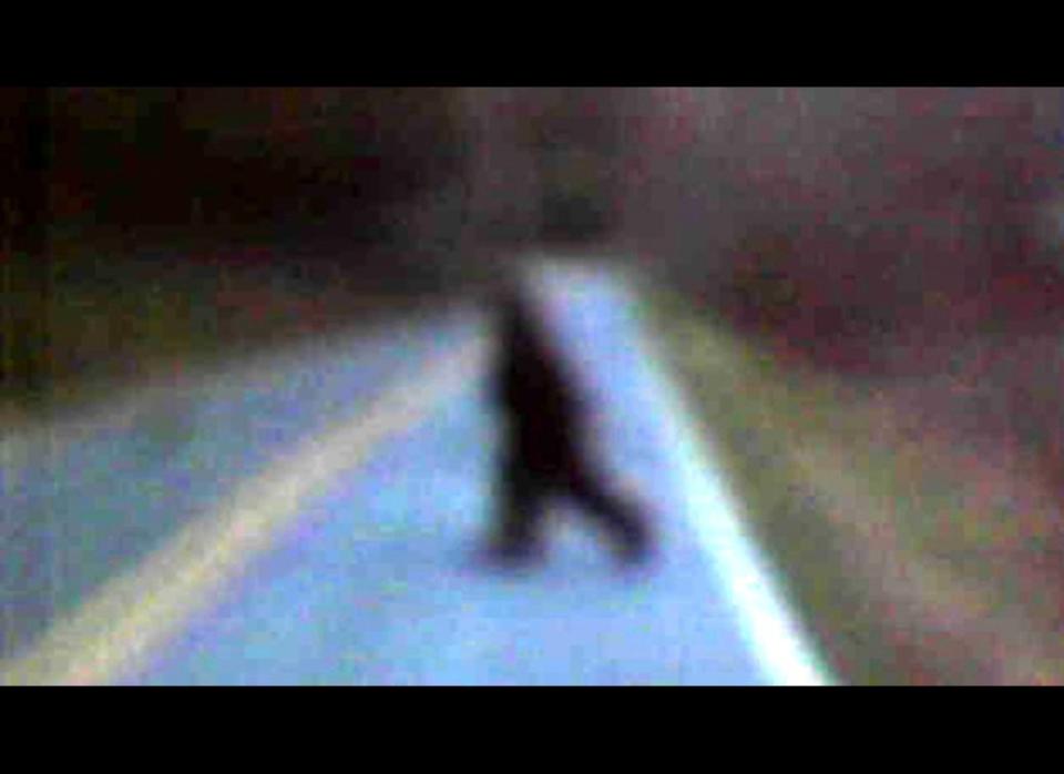 Thomas Byers snapped this photo of "Bigfoot" along Golden Valley Church Road in Rutherford County on March 22, 2011. 