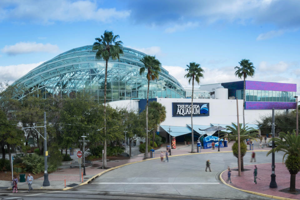 The Florida Aquarium, Tampa, Florida