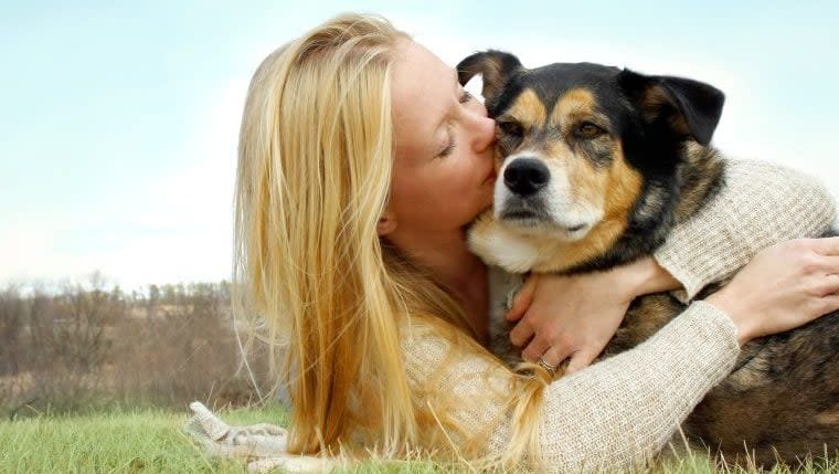 Best Prayers for Sick Dogs