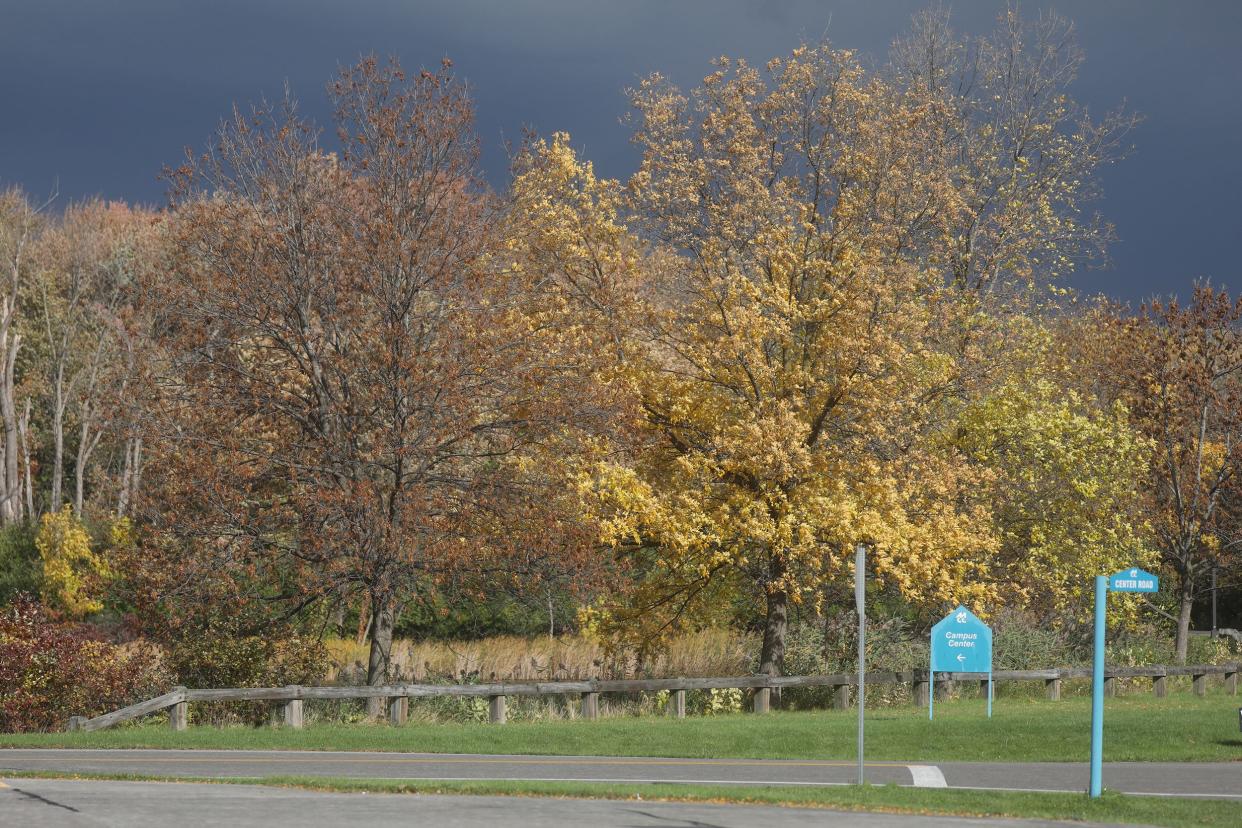 Orange and yellow leaves on the trees contrast against the gray sky at Monroe Community College in Brighton on Oct. 15, 2022.