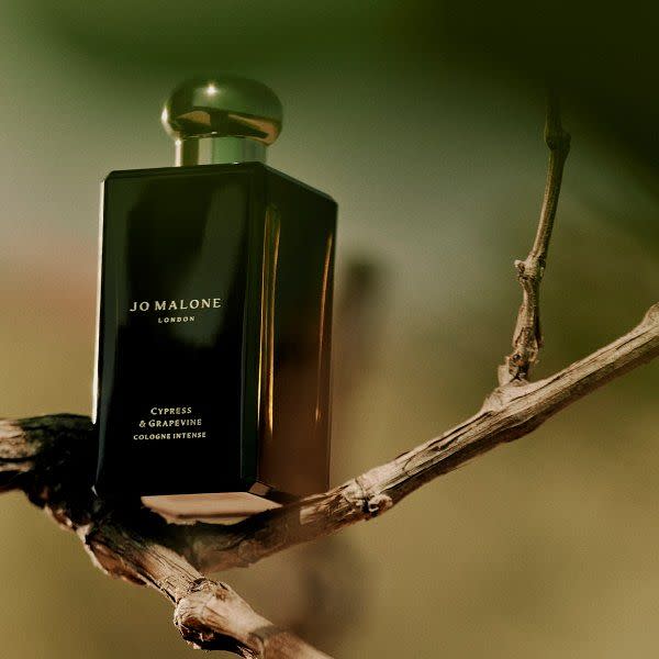 Jo  Malone London 絲柏與葡萄藤芳醇香水 圖片來源:品牌提供